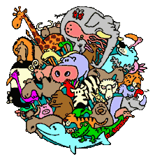 DISFRUTA DE COLOMBIA